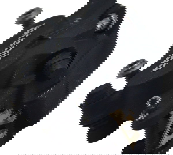 Pinça Freio Traseira Bmw R1250 R 1250 Adv 19-24 Original