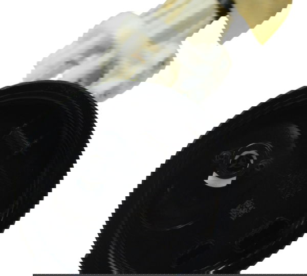 Bomba Combustível Bmw R1250 R 1250 Adv 19-24 Original