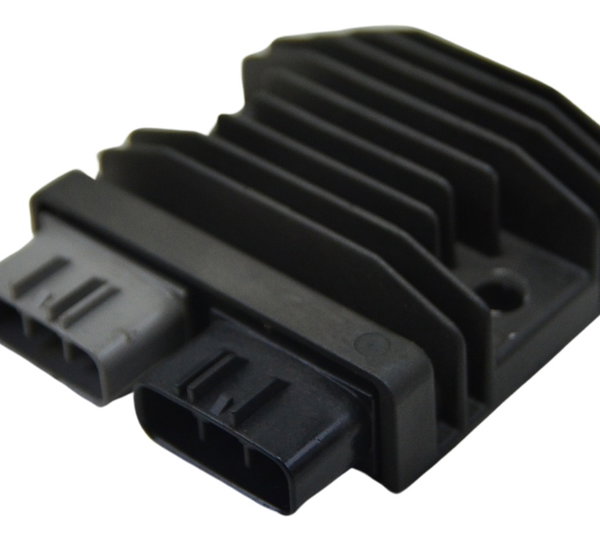 Retificador Carga Bmw R1250 R 1250 Adv 19-24 Original 12v