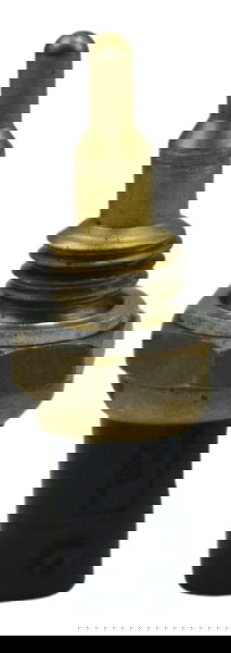 Sensor Temperatura Bmw R1250 R 1250 Adv 19-24 Original