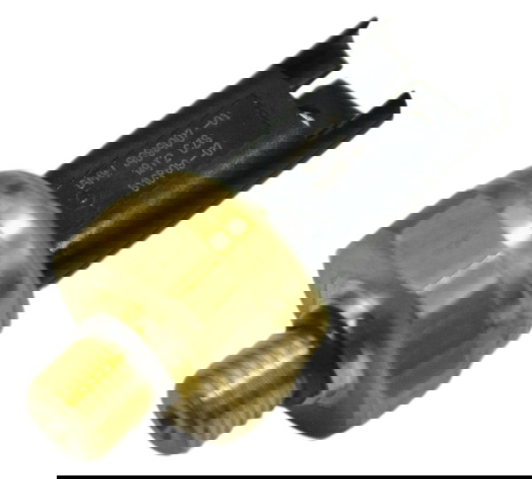 Sensor Pressão Gasolina Bmw R1250 R 1250 Adv 19-24 Original