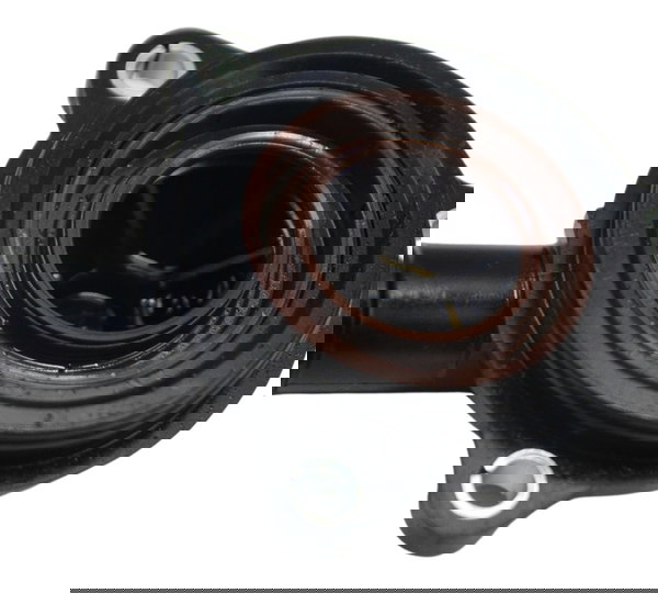 Tampa Conexão Água Bmw R1250 R 1250 Adv 19-24 Original