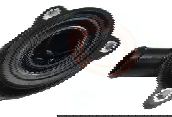 Tampa Conexão Água Bmw R1250 R 1250 Adv 19-24 Original