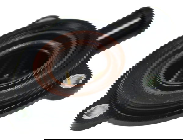 Tampa Conexão Água Bmw R1250 R 1250 Adv 19-24 Original