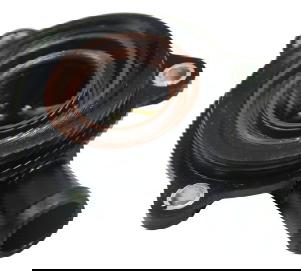 Tampa Conexão Água Bmw R1250 R 1250 Adv 19-24 Original