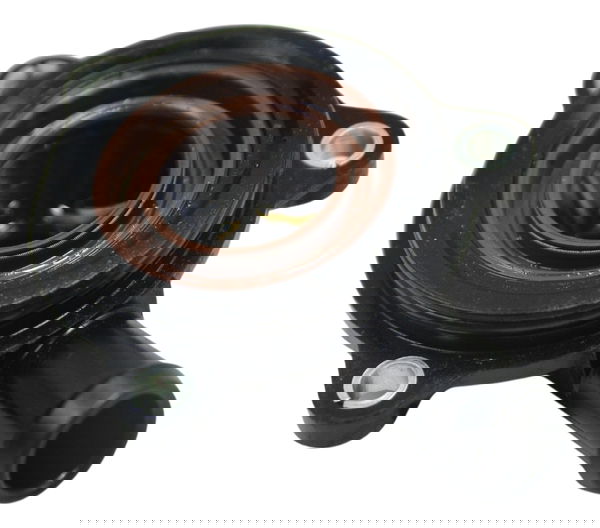 Tampa Conexão Água Bmw R1250 R 1250 Adv 19-24 Original