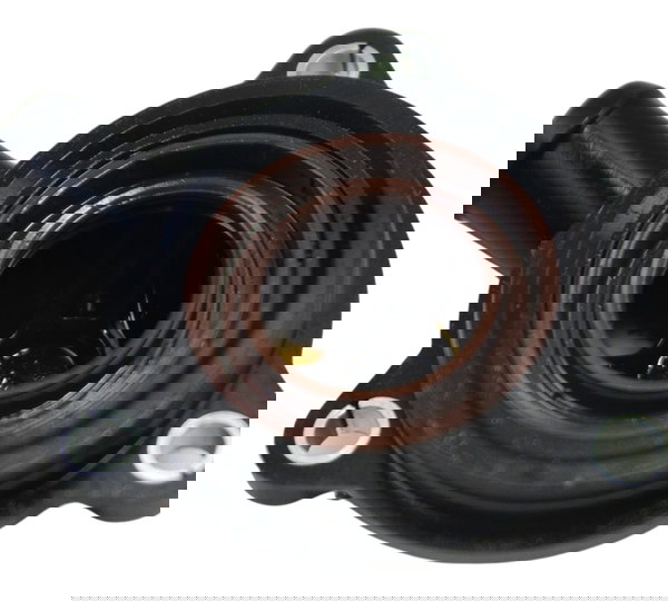 Tampa Conexão Água Bmw R1250 R 1250 Adv 19-24 Original