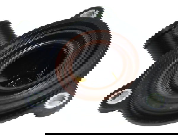 Tampa Conexão Água Bmw R1250 R 1250 Adv 19-24 Original