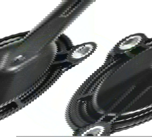 Tampa Conexão Água Bmw R1250 R 1250 Adv 19-24 Original