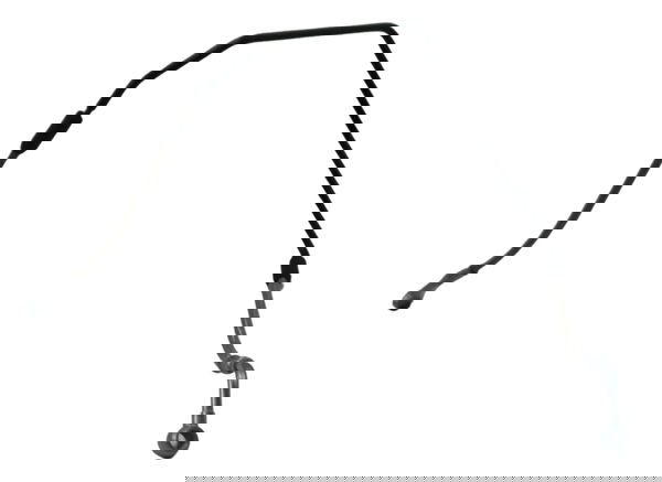 Flexível Freio Traseiro Bmw R1250 R 1250 Adv 19-24 Original