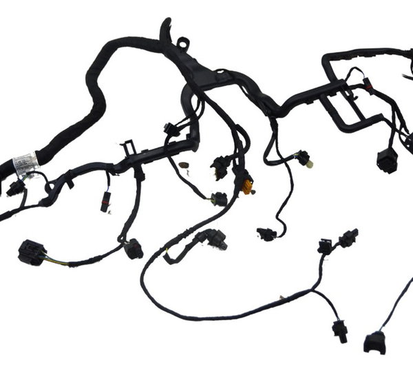 Chicote Secundário Bmw R1250 R 1250 Adv 19-24 Original