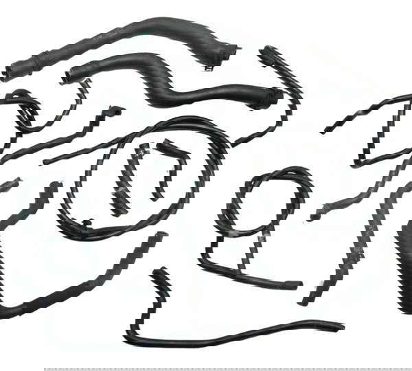 Kit Mangueiras Bmw R1250 R 1250 Adv 19-24 Original