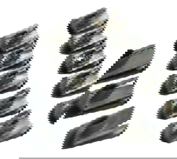 Jogo Trava Carenagem Bmw R1250 R 1250 Adv 19-24 Original