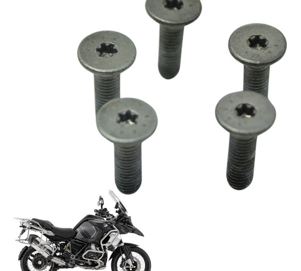 Jogo Parafuso Disco Bmw R1250 R 1250 Adv 19-24 Original