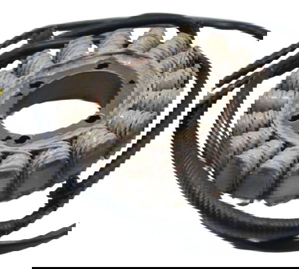 Estator Honda Crf 1100l África Twin 21-24 Original