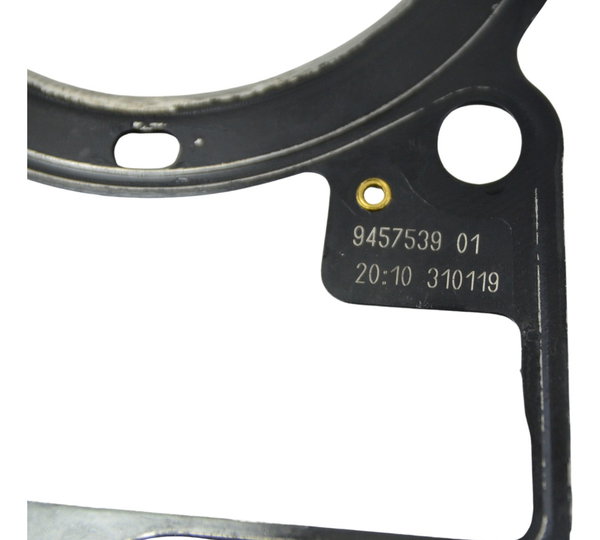 Junta Cabeçote Esquerdo Bmw R1250 R 1250 Adv 19-24 Original