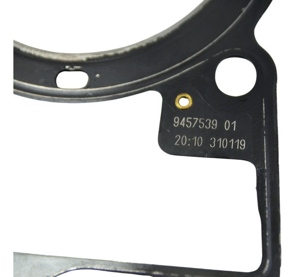 Junta Cabeçote Esquerdo Bmw R1250 R 1250 Adv 19-24 Original