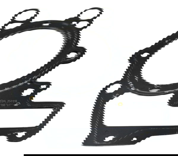Junta Cabeçote Direito Bmw R1250 R 1250 Adv 19-24 Original