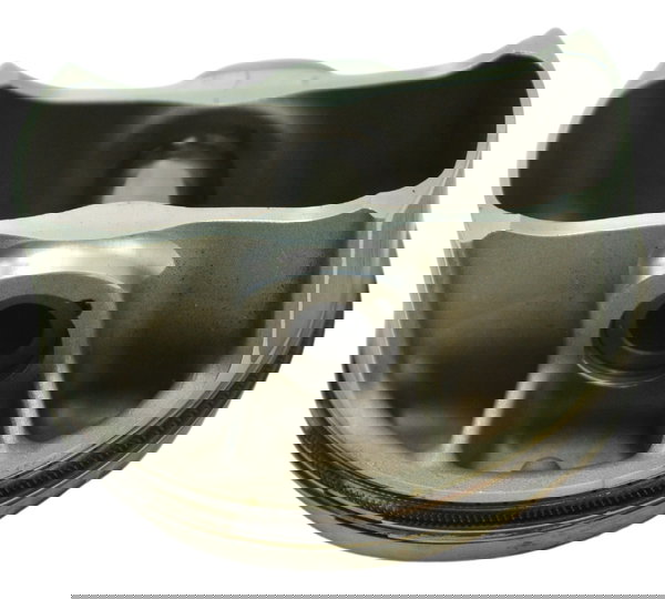 Pistão C/ Anéis Bmw R1250 R 1250 Adv 19-24 Original