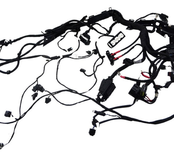 Chicote Principal C/ Avaria Bmw R1250 R 1250 Adv 19-24 Orig