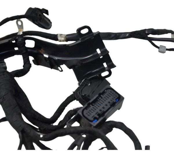 Chicote Principal C/ Avaria Bmw R1250 R 1250 Adv 19-24 Orig