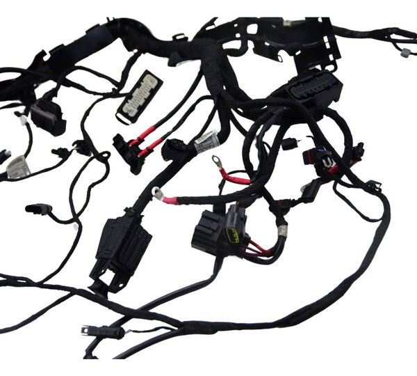 Chicote Principal C/ Avaria Bmw R1250 R 1250 Adv 19-24 Orig