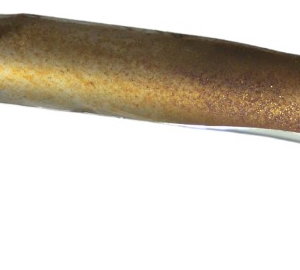 Capa Curva Escape Diant C/ Det Harley Road King Touring 2013