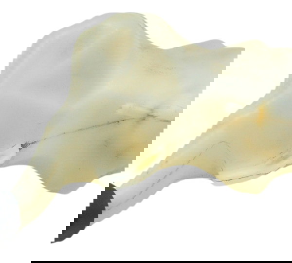 Reservatório Agua Honda Crf 1100l África Twin 21-24 Original