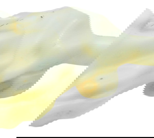 Reservatório Agua Honda Crf 1100l África Twin 21-24 Original