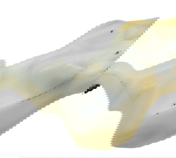 Reservatório Agua Honda Crf 1100l África Twin 21-24 Original