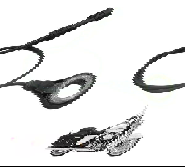 Sensor Abs Traseiro Harley Road King Touring 2013 Original