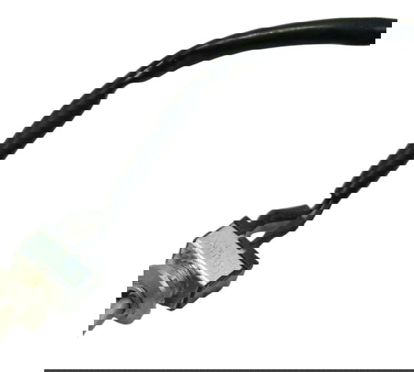 Interruptor Farol Auxiliar Harley Road King Touring 2013 Ori