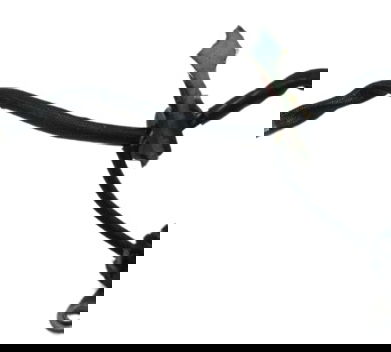 Estator Kawasaki Ninja 300 13-18 Original