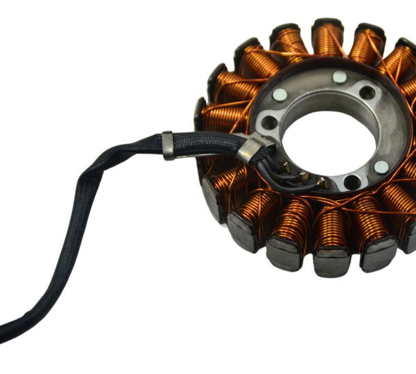 Estator Kawasaki Ninja 300 13-18 Original