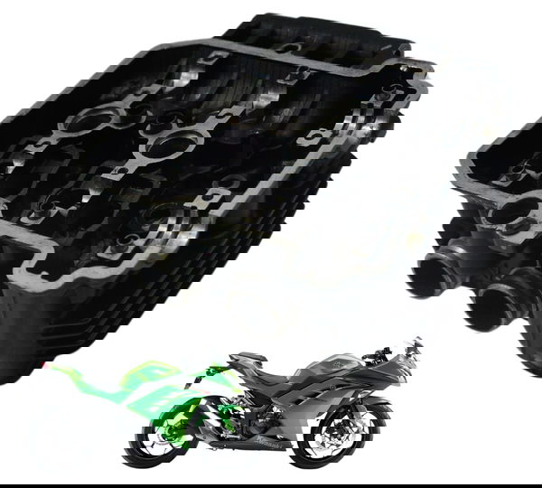 Carcaça Cabeçote Kawasaki Ninja 300 13-18 Original