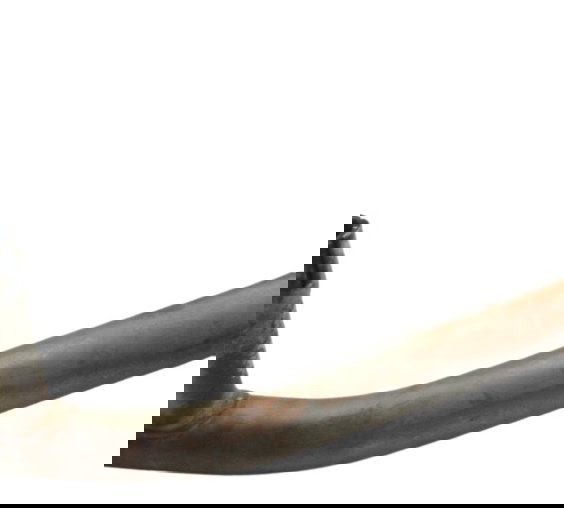 Curva Escape Esquerdo Yamaha Xt 660 R 05-08 Original