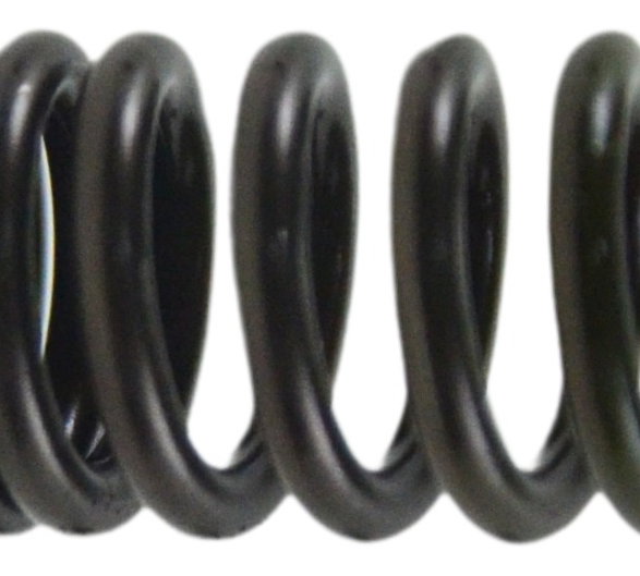 Mola Válvula Kawasaki Ninja 300 13-18 Original