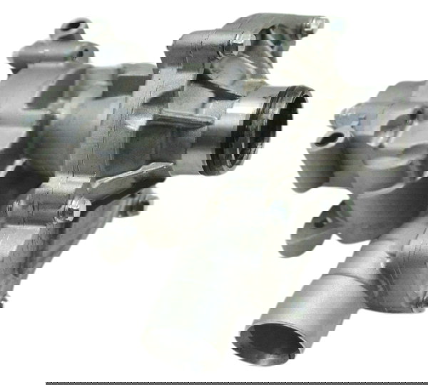 Bomba Óleo Água Triumph Tiger 900 Rally Pro 20-24 Original