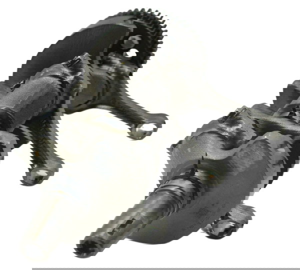 Virabrequim Triumph Tiger 900 Rally Pro 20-24 Original