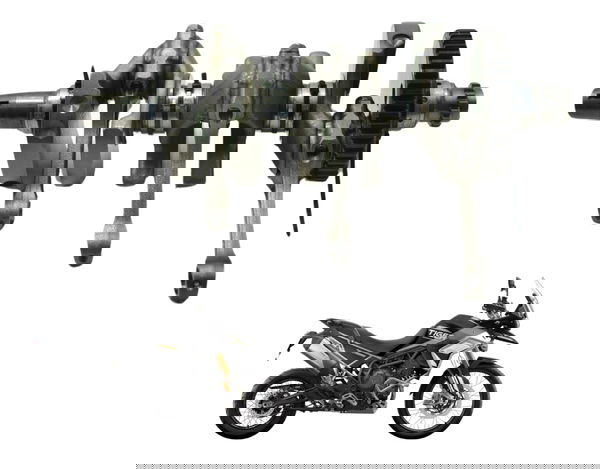 Virabrequim Triumph Tiger 900 Rally Pro 20-24 Original