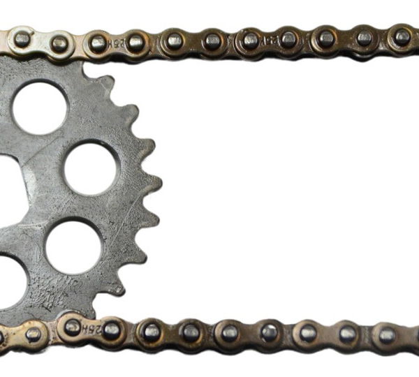 Kit Engrenagem Bomba Triumph Tiger 900 Rally Pro 20-24 Orig