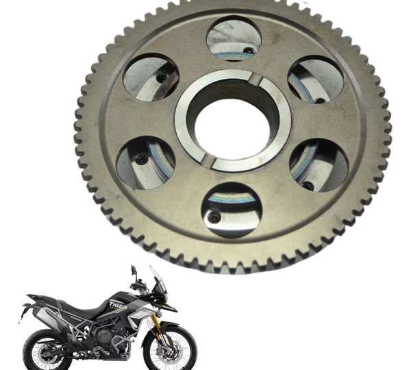 Placa Partida Triumph Tiger 900 Rally Pro 20-24 Original