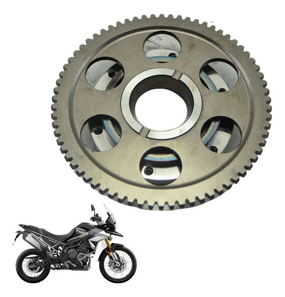 Placa Partida Triumph Tiger 900 Rally Pro 20-24 Original
