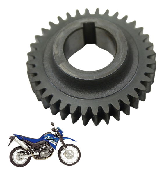 Engrenagem Virabrequim Yamaha Xt 660 R 05-08 Original
