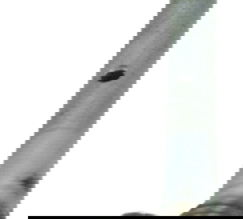 Pino Acionador Embreagem Royal Enfield Himalayan 19-23 Orig