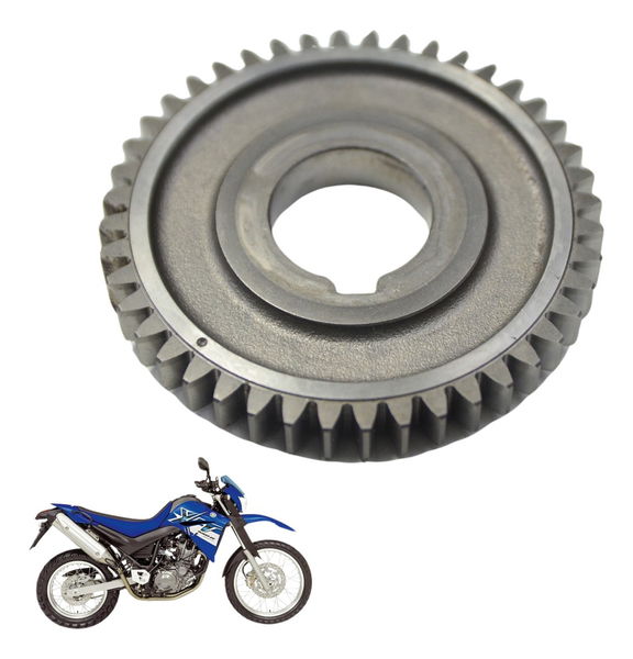 Engrenagem Motor Yamaha Xt 660 R 05-08 Original