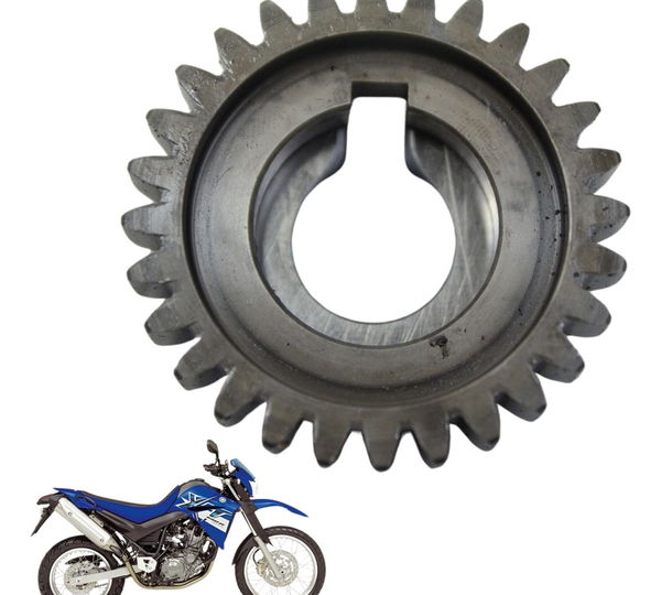 Engrenagem Motor Yamaha Xt 660 R 05-08 Original