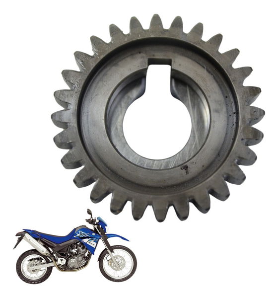 Engrenagem Motor Yamaha Xt 660 R 05-08 Original