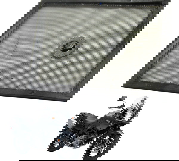 Peneira Óleo Suzuki Dl 650 V Strom 09-13 Original