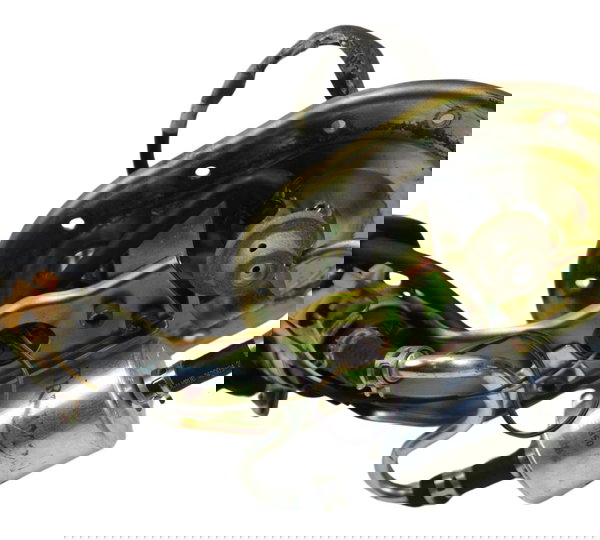 Bomba Combustível Triumph Bonneville T100 13-15 Original